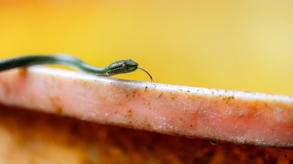 Animating Enchantment: Bringing Creatures to Reality