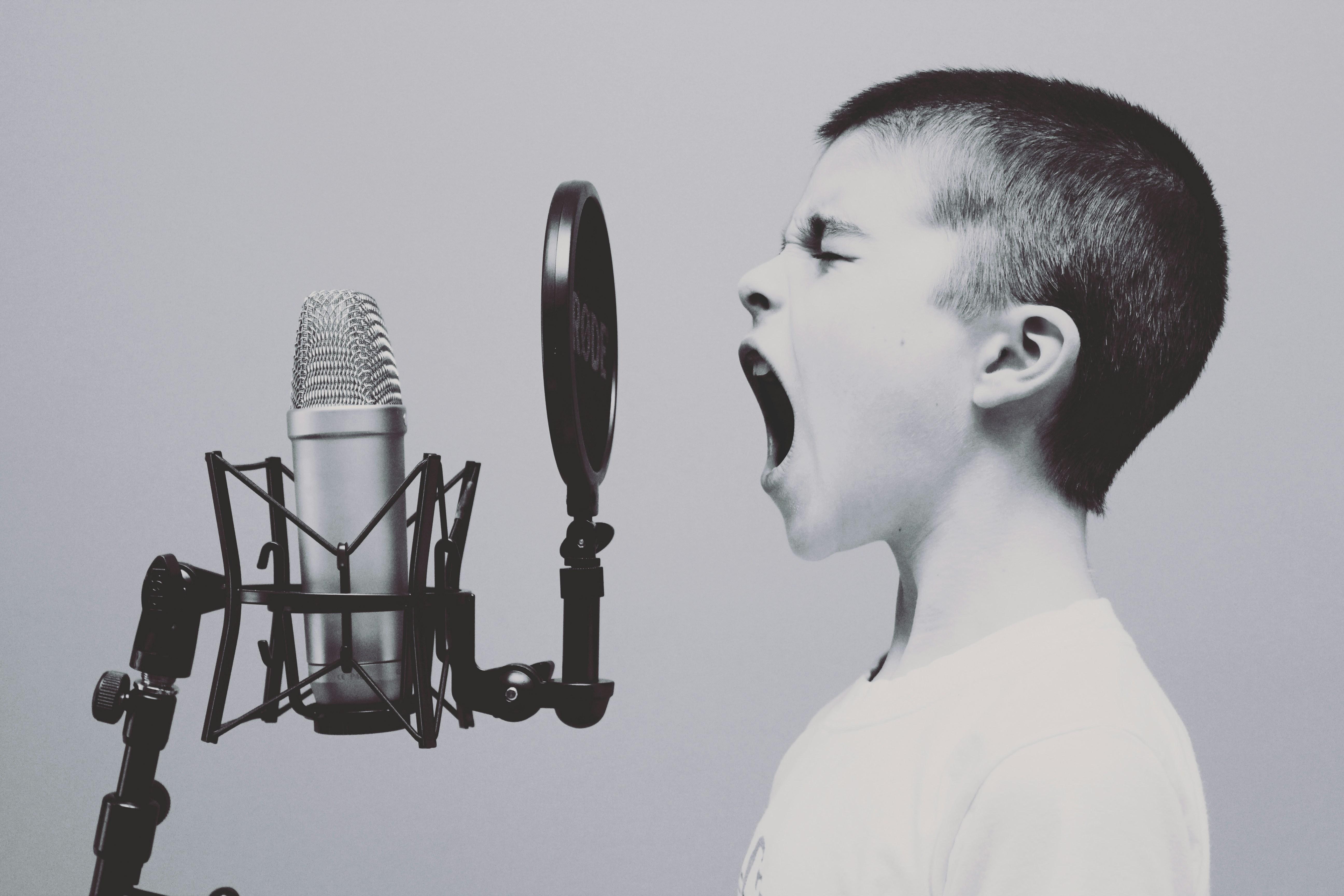 Dialogue Dynamics: Balancing​ Voices and Environment