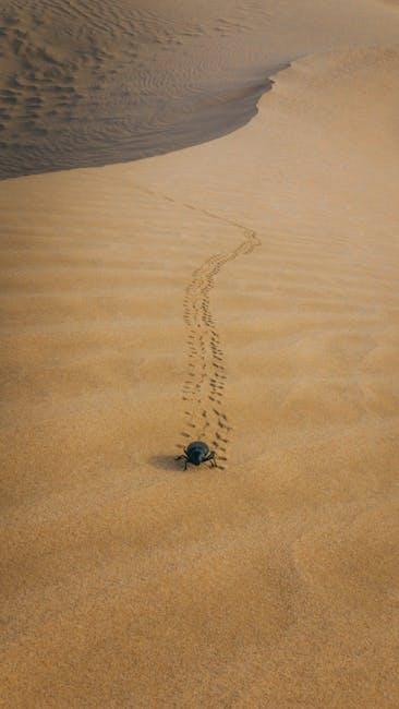 Digital Magic: Harnessing‍ CGI to Enhance‌ the‌ Dune​ Universe