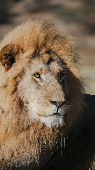 Soundscapes of the Savannah: Enhancing Realism with Audio