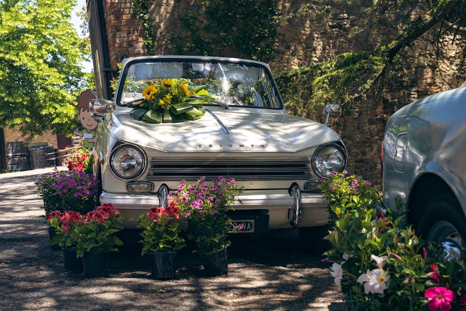 Character Development: Breathing Life​ into Elsa and <a href=