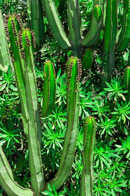 Camerons Visionary Approach: Lessons for Aspiring Filmmakers