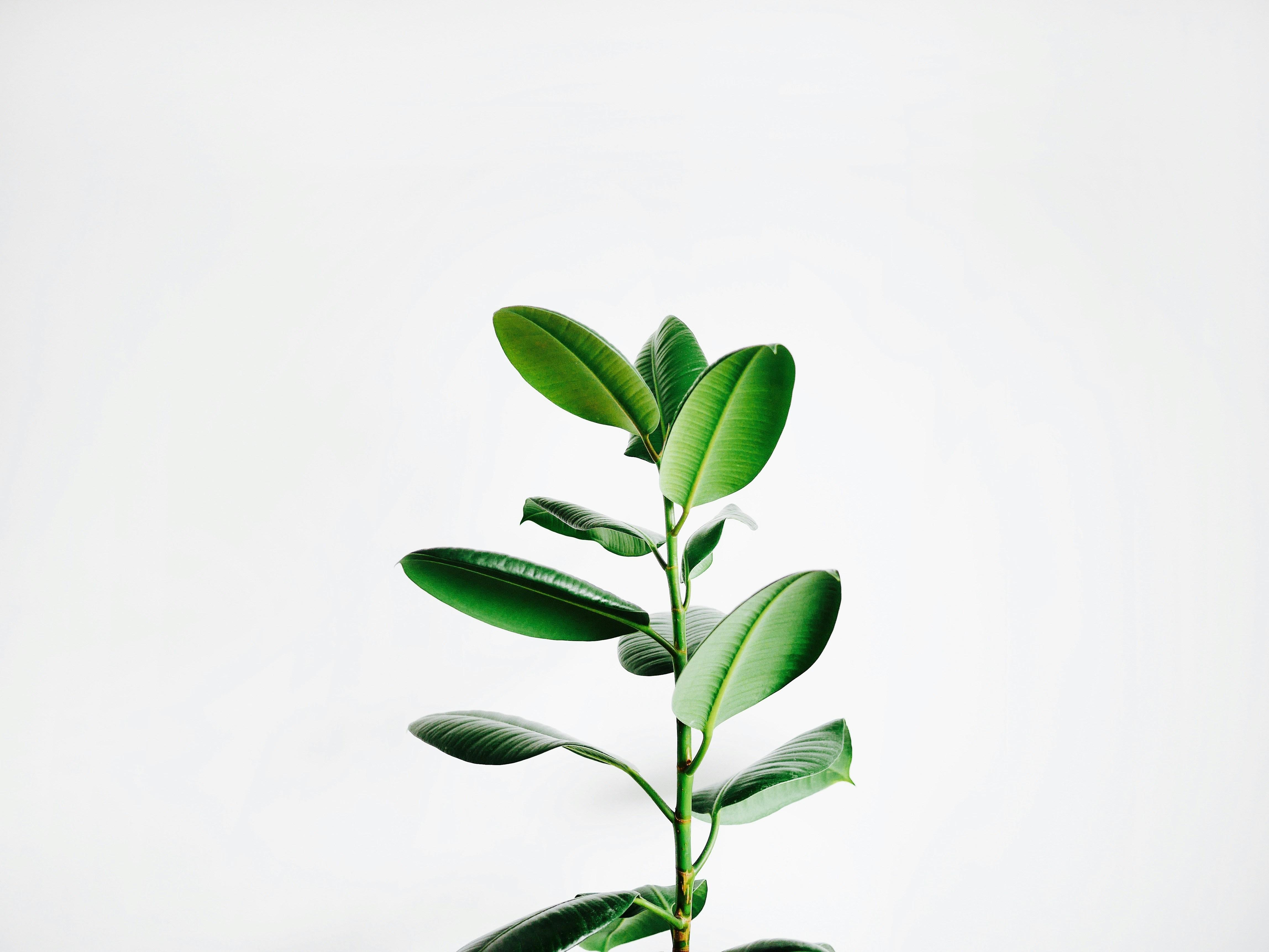 Crafting Authenticity: When Less Is More in Visual Storytelling
