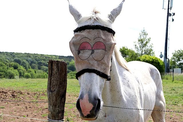 Humors Role in Stress Reduction: A Behind-the-Scenes Look