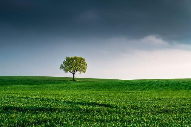 Strategies for Cultivating a Positive Set Environment