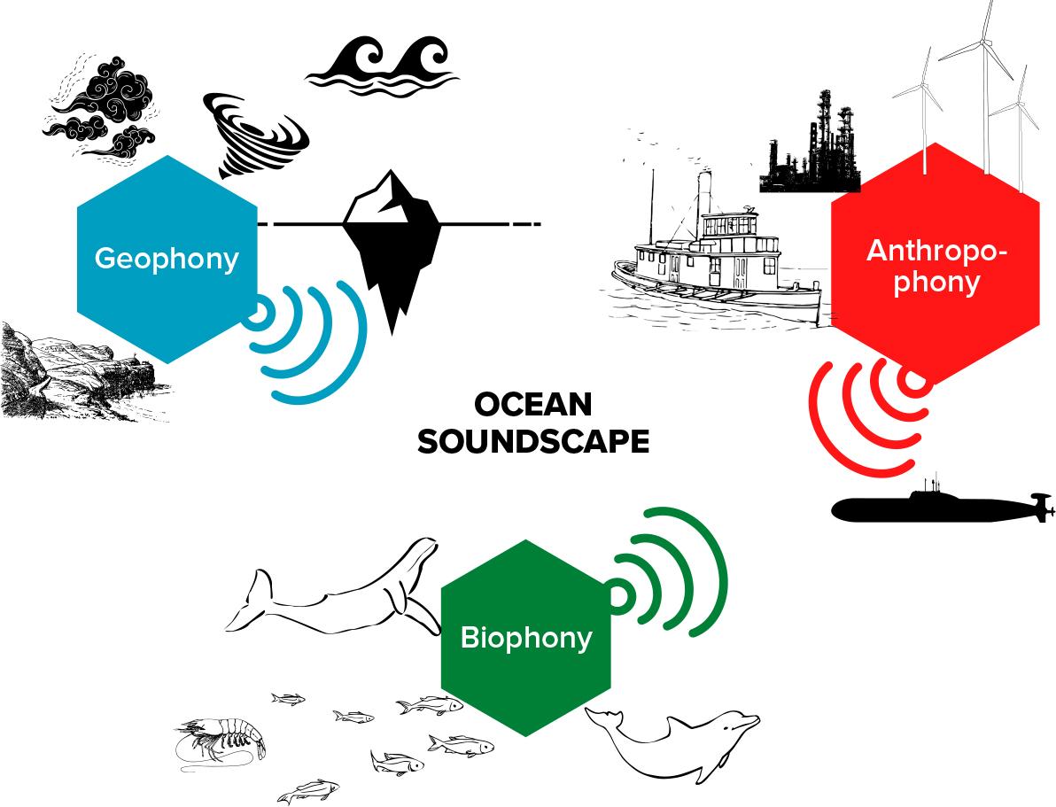 Mastering the ‍Mood: Soundscapes and Scores