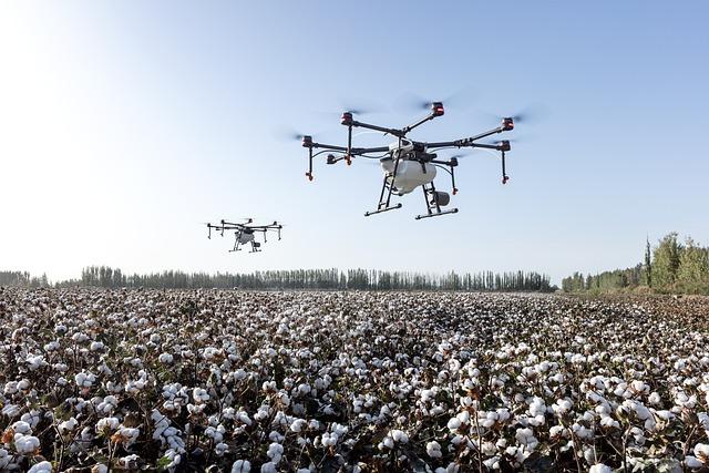 Guidelines for Harmonizing Drones with Cinematic Artistry