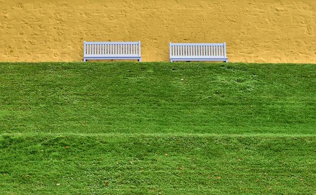 The Role of <a href=